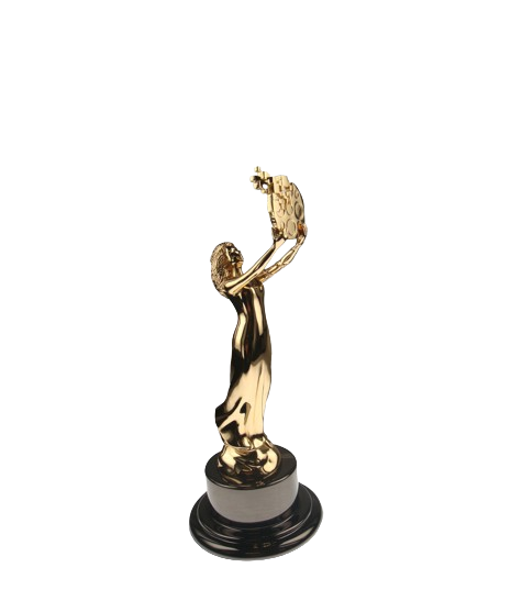 digital marketing award